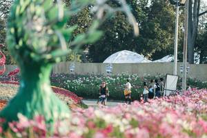 BIB: 
                            <button type="button" onclick="openModal(27344143)" class="btn btn-primary btn-sm float-right btn-popup" data-toggle="modal" data-target=".modal-high-quality">
                        <i class="fas fa-shopping-cart"></i> Add to Cart
                    </button>
                                            <button type="button" onclick="isThisMe(27344143, true)" class="btn btn-success btn-sm float-right btn-popup btn-isme hidden" data-toggle="tooltip" data-placement="bottom" title="นี่คือรูปของคุณใช่ไหม คลิกที่นี่เพื่อเอาเข้าอัลบั้ม">
                        <i class="fas fa-plus"></i> Add to album
                    </button>
                    <button type="button" onclick="isThisMe(27344143, false)" class="btn btn-warning btn-sm float-right btn-popup btn-isnotme hidden">
                        <i class="fas fa-ban"></i> Remove from album
                    </button>